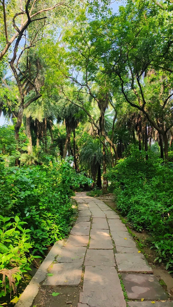 Image uploaded by Manav