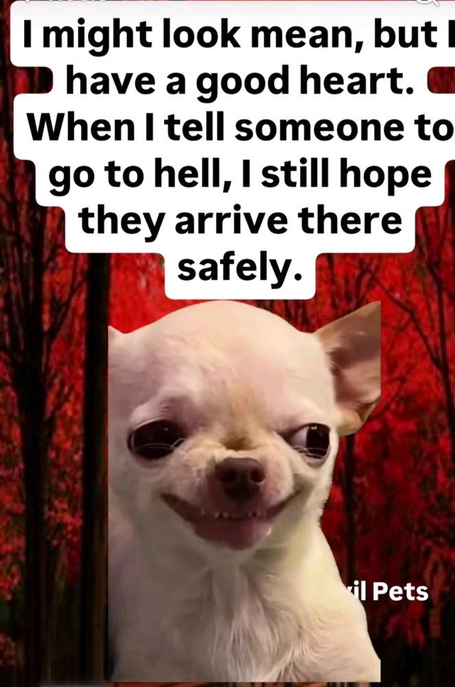 GIF жүктеген Cee