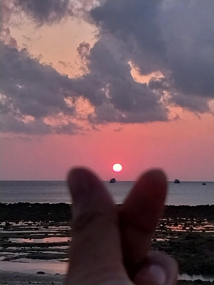 Mey上傳的圖片