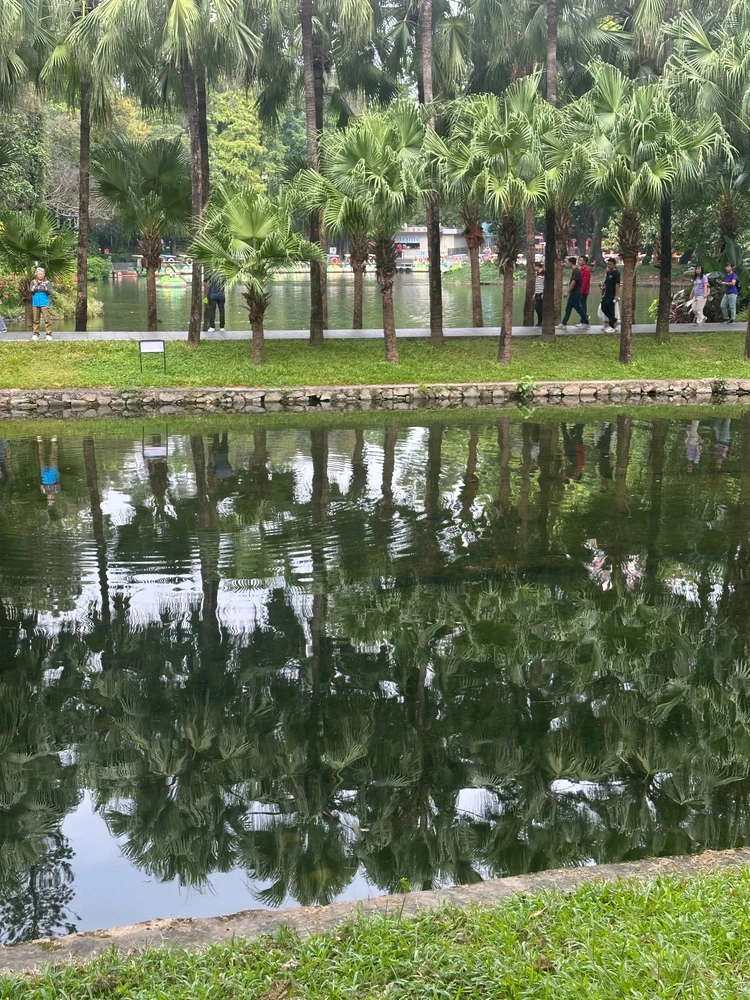 Gambar diunggah ku Mohamed