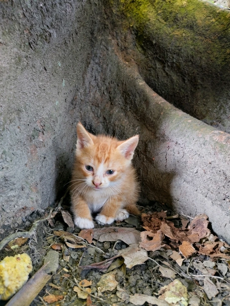 GIF uploaded by Hana