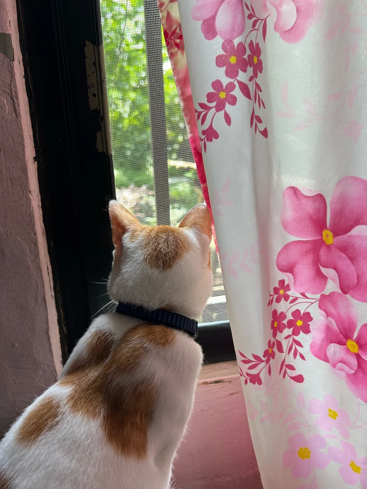 GIF gi-upload ni Bianca