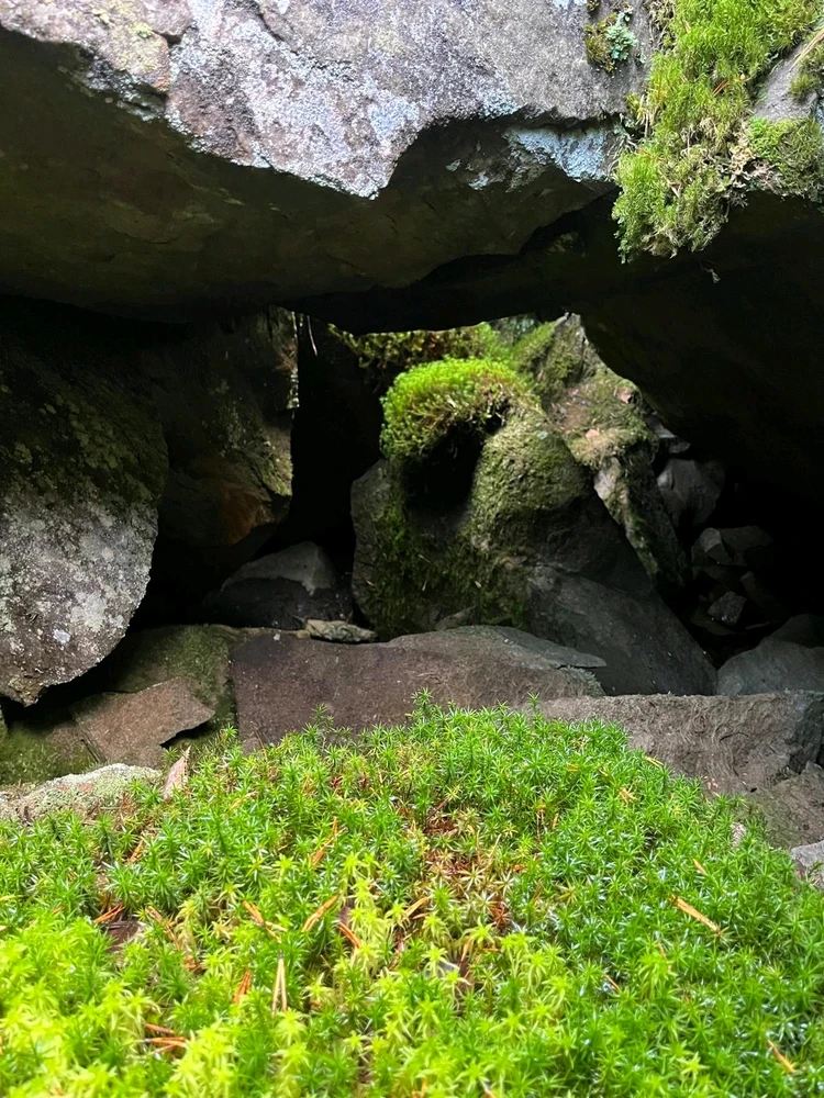 Found new cave