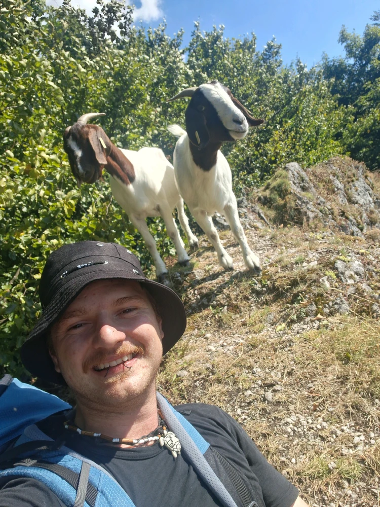 Imatge pujada per Bene