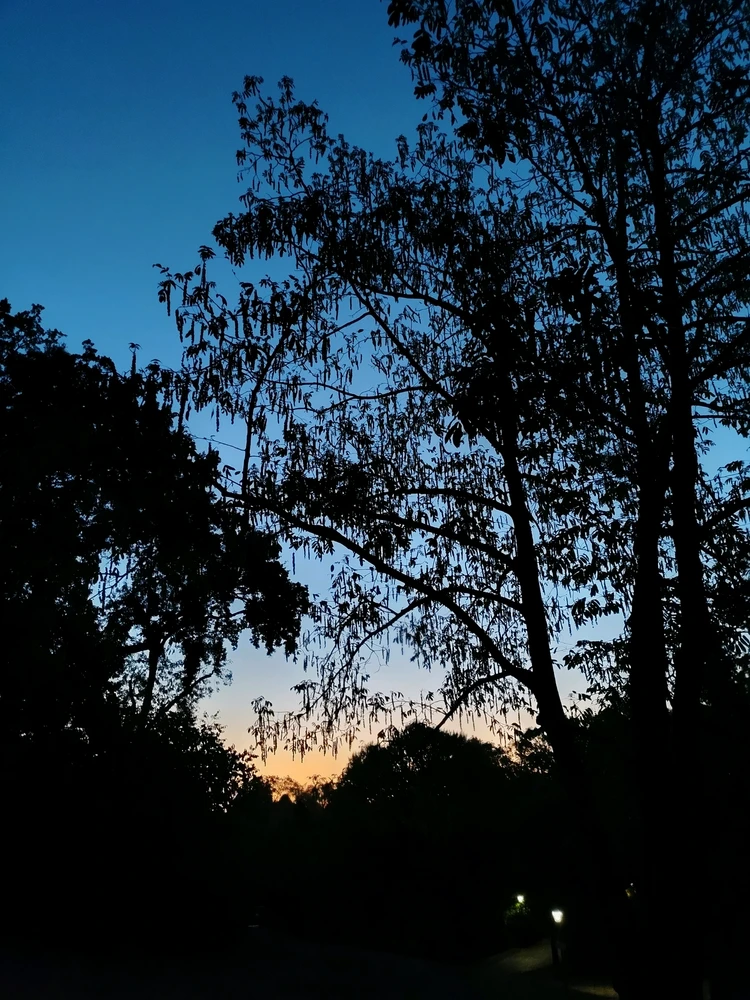 Gambar diunggah oleh Tithi