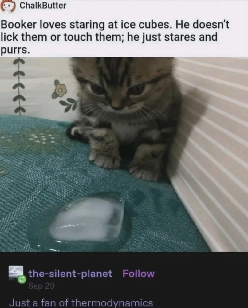 GIF uploaded by Vincent