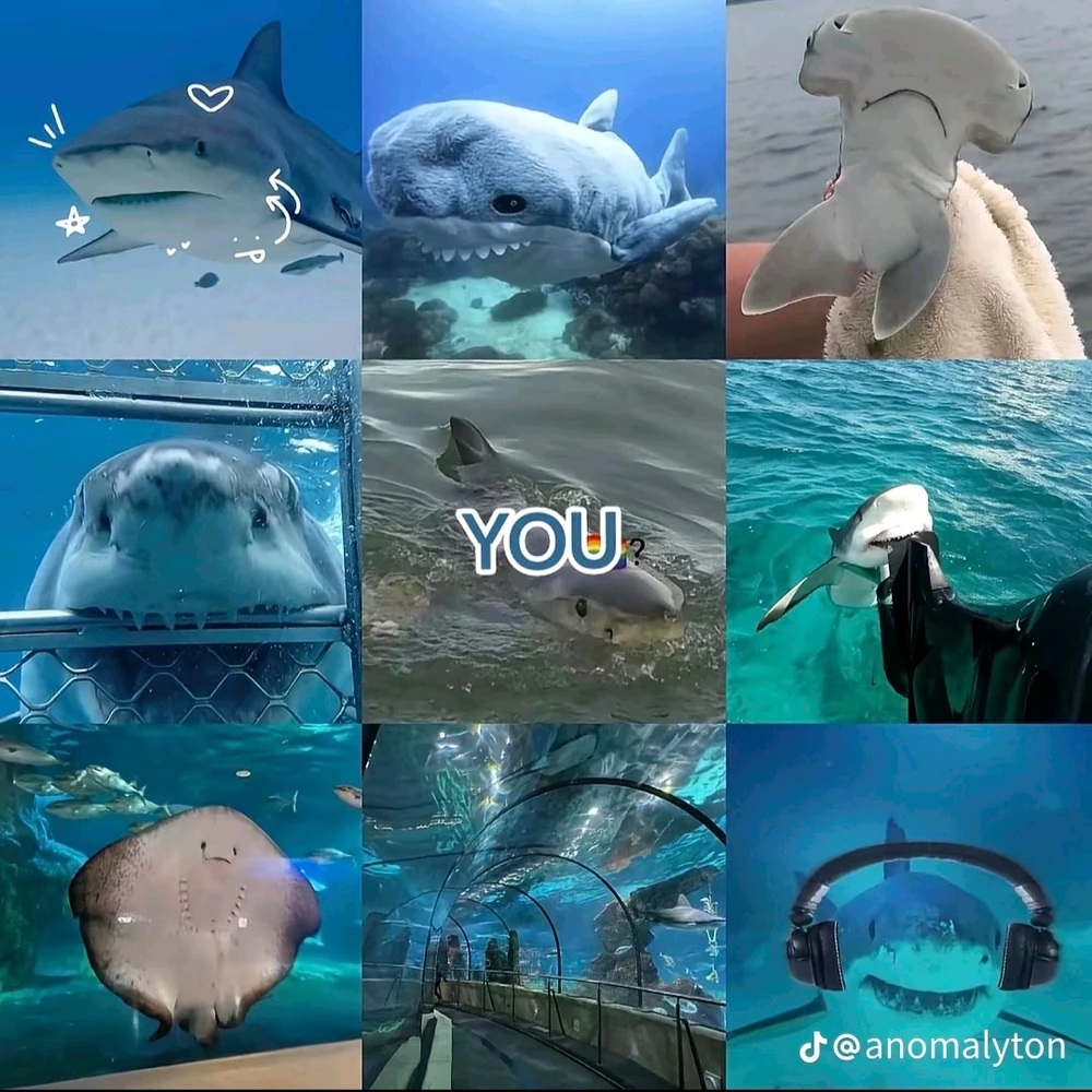 Image uploaded by Jaquison