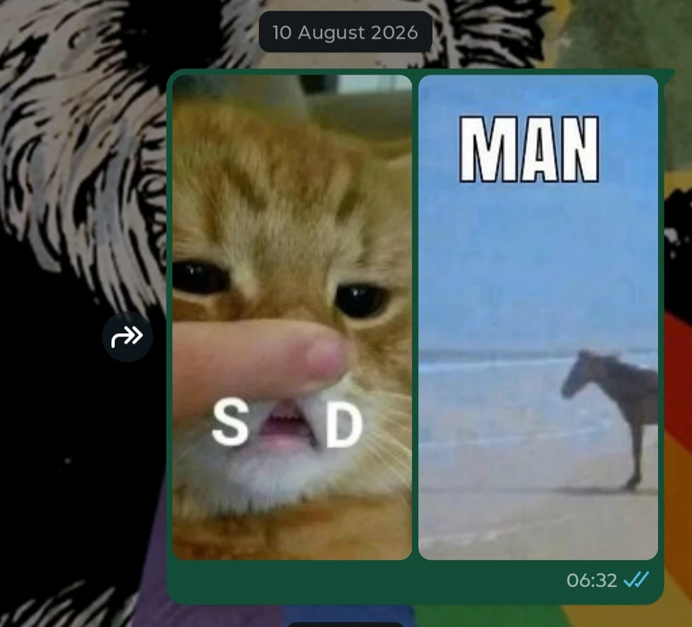 GIF ארויפגעלאדן דורך Sirius
