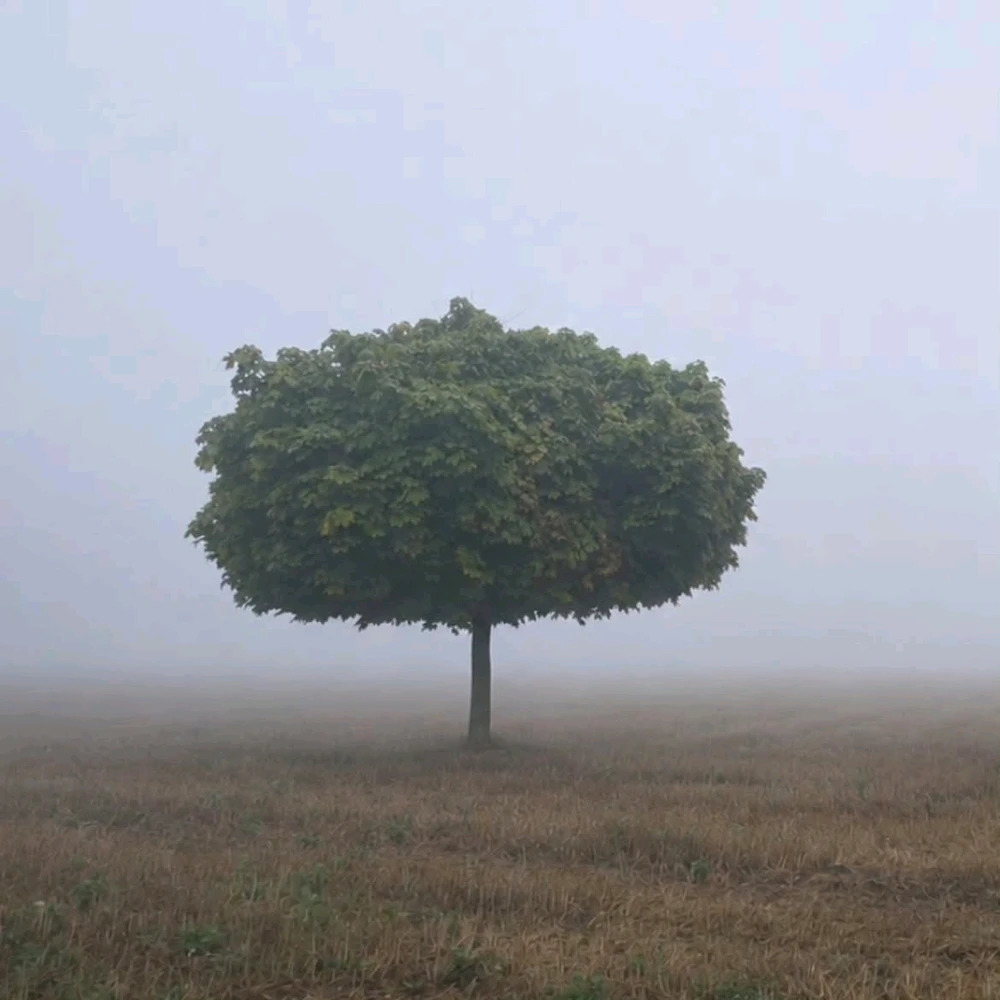 GIF lastet opp av Miłosz