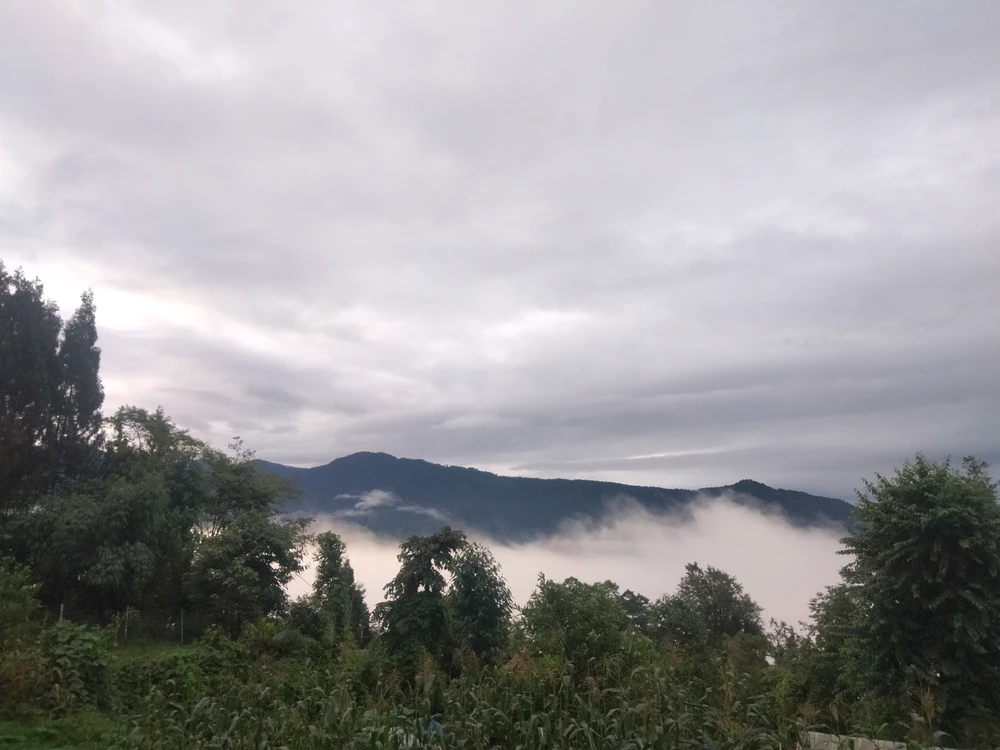 Brij അപ്‌ലോഡ് ചെയ്ത GIF