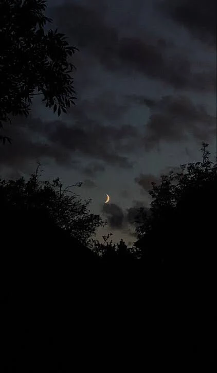 GIF uploaded by Brandon