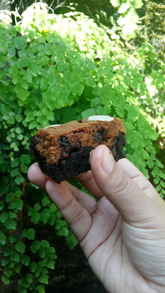 futriiii ଦ୍ୱାରା ଅପଲୋଡ୍ କରାଯାଇଥିବା ଫଟୋ