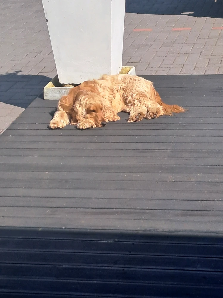 GIF ανέβηκε από Sandz