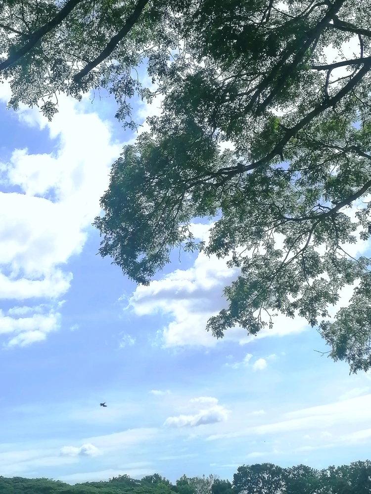 GIF gi-upload ni Chiea