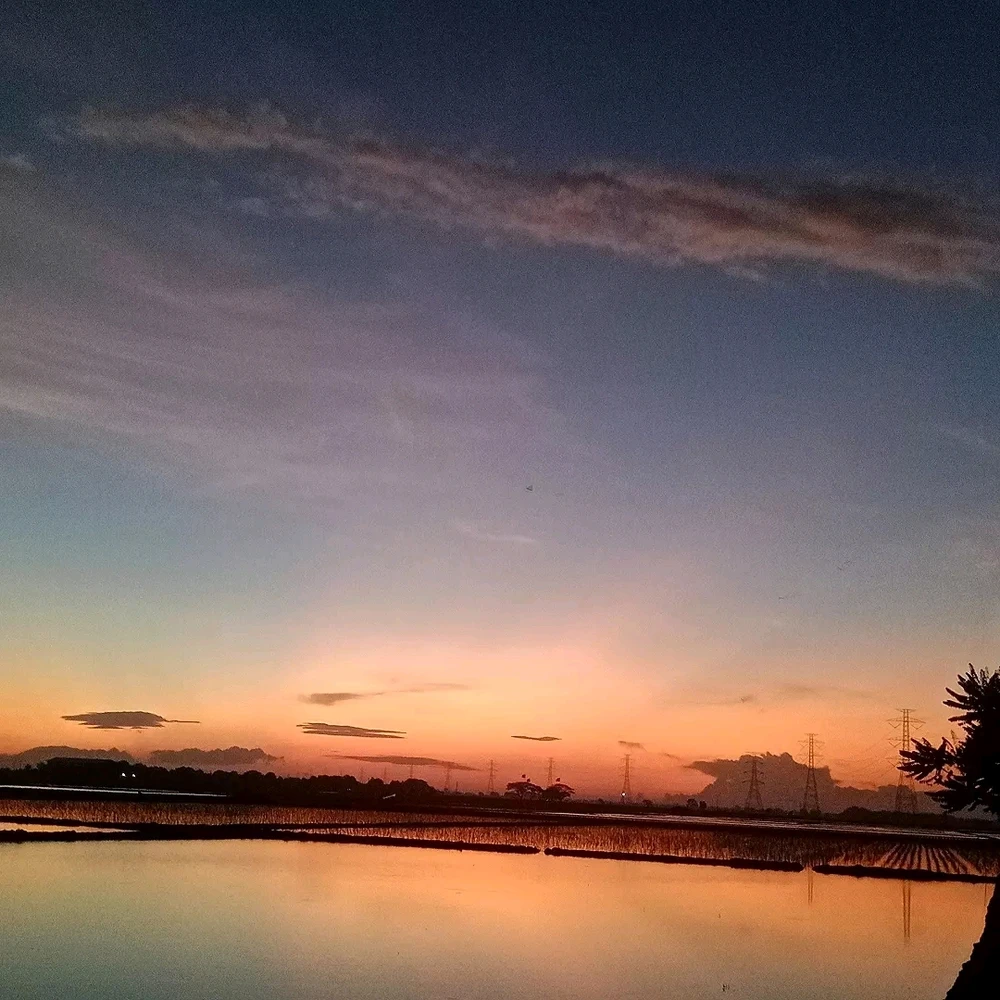 Gi-upload ni La Fresa ang hulagway