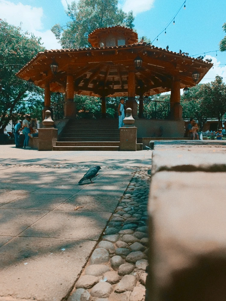 GIF gi-upload ni Mg