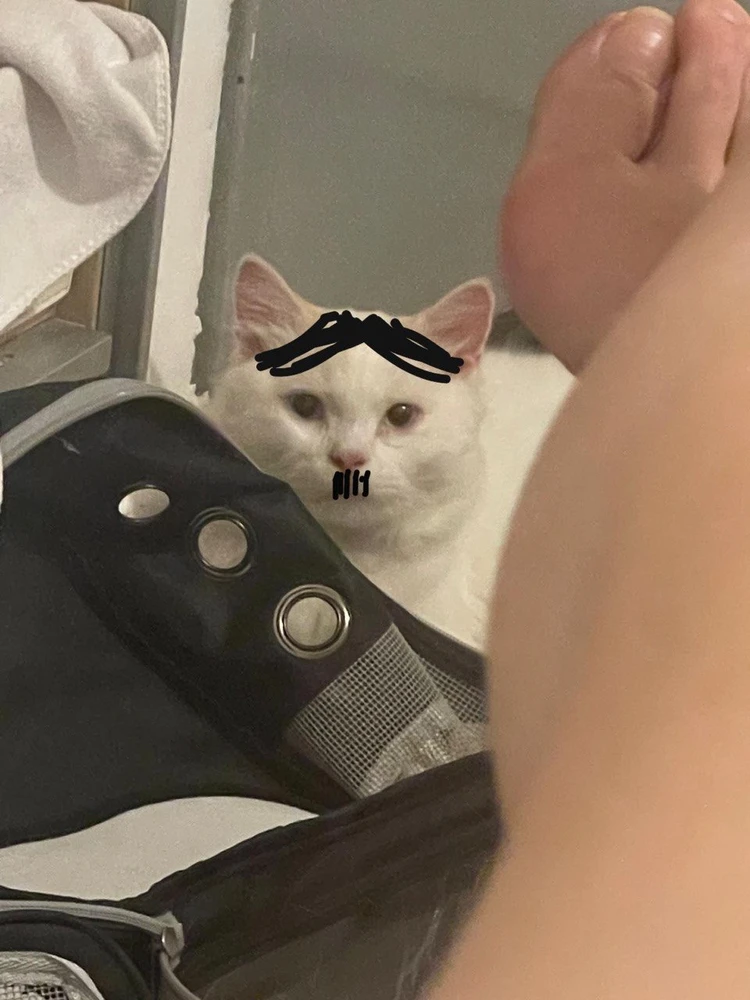 GIF diunggah ku nick