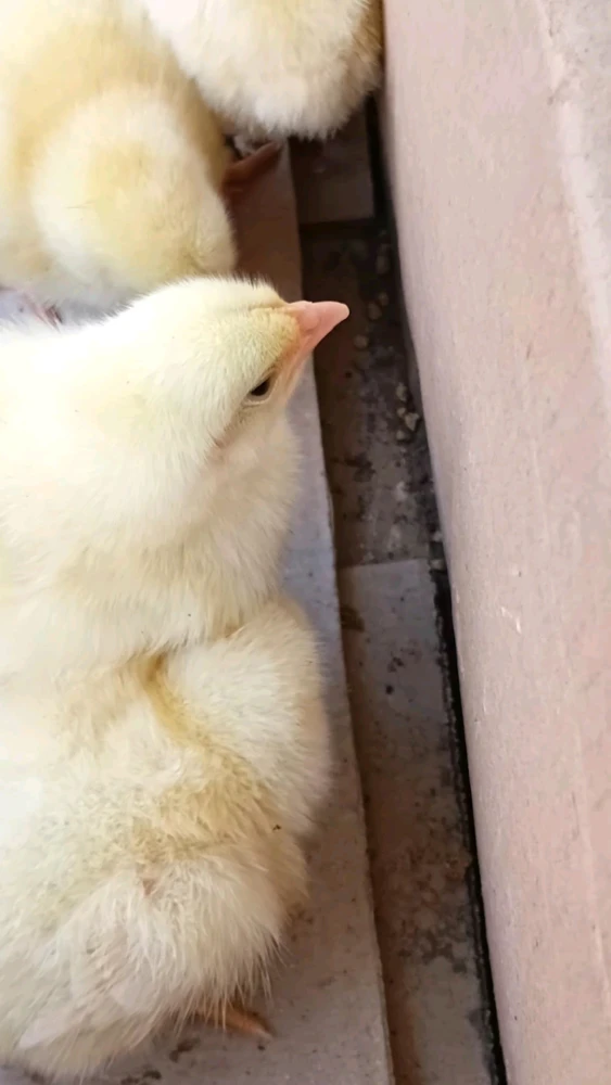 nana님이 올린 GIF