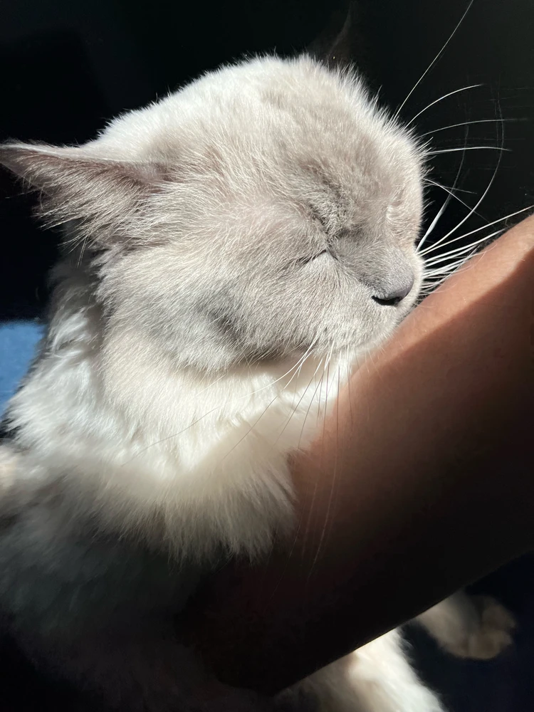 GIF na in-upload ni Agnieszka