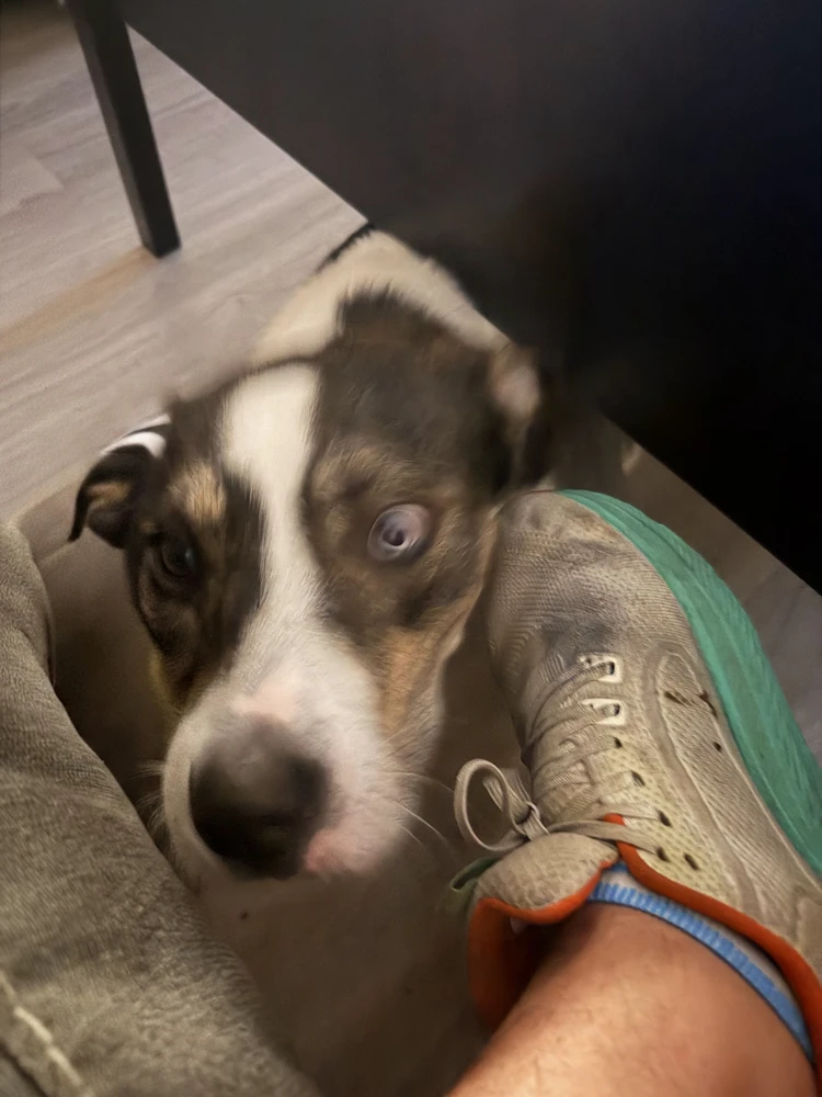 He 