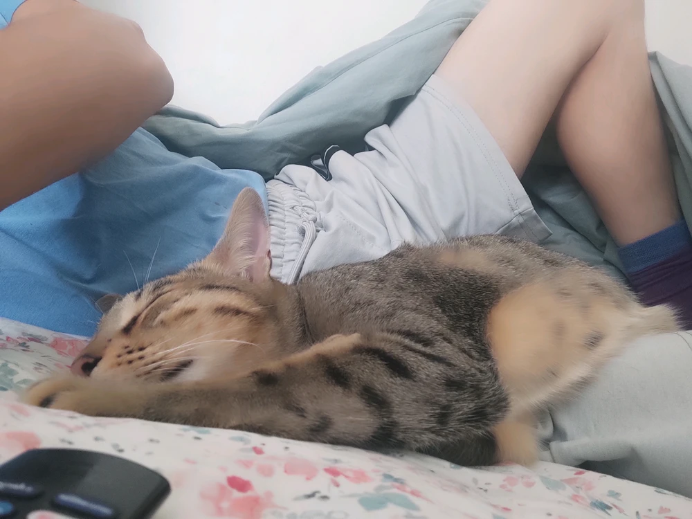GIF imtella' minn Kyle