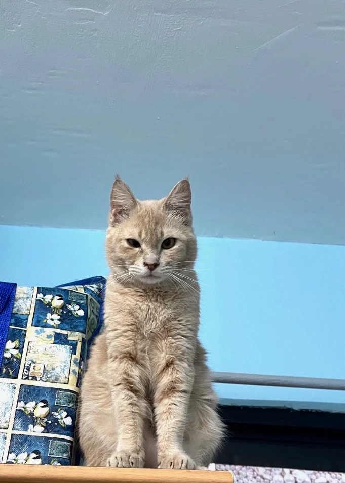 GIF tí Matchaalattvee gbé sókè