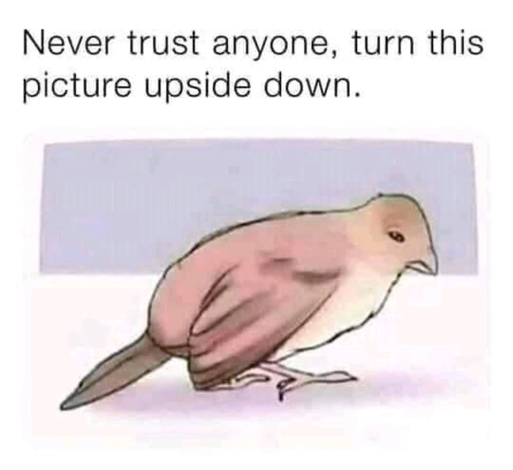 GIF tso los ntawm ꁲꋊꂦꋊꐞꂵꂦꐇꌚ
