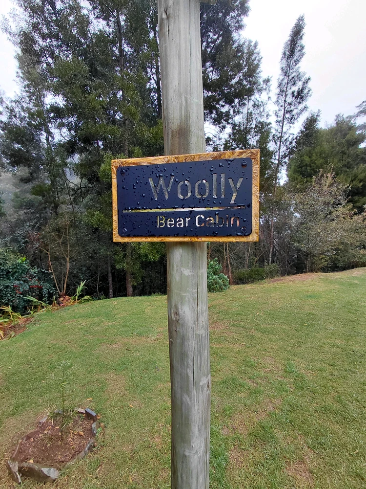 Mufananidzo wakaiswa na Casey