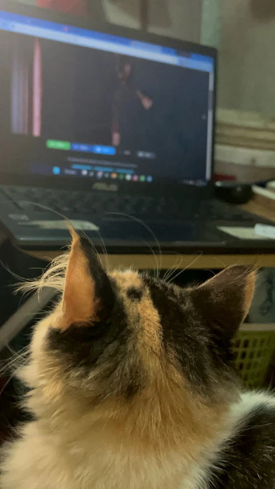 GIF gi-upload ni Prim