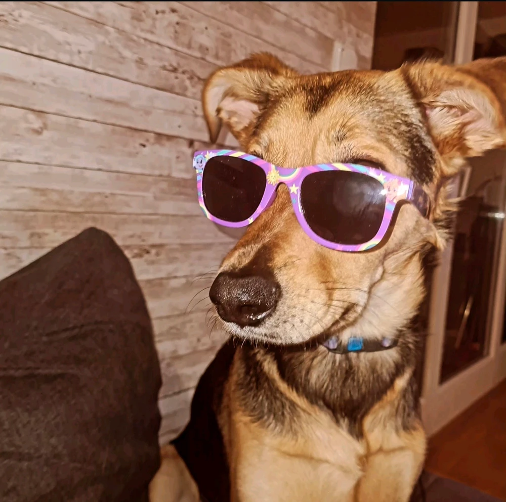 GIF učitao/la Branko