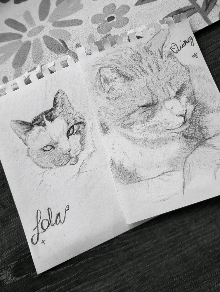 GIF uploaded by Maroes