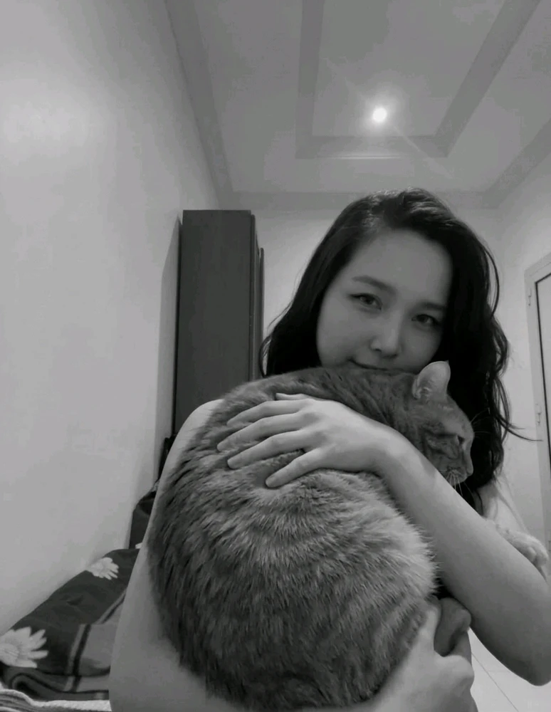 GIF uu soo galiyey Sissy Kitty