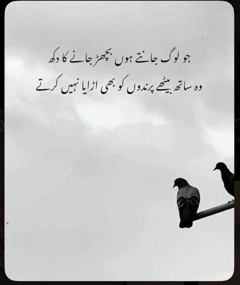 GIF gi-upload ni Umair Nasir