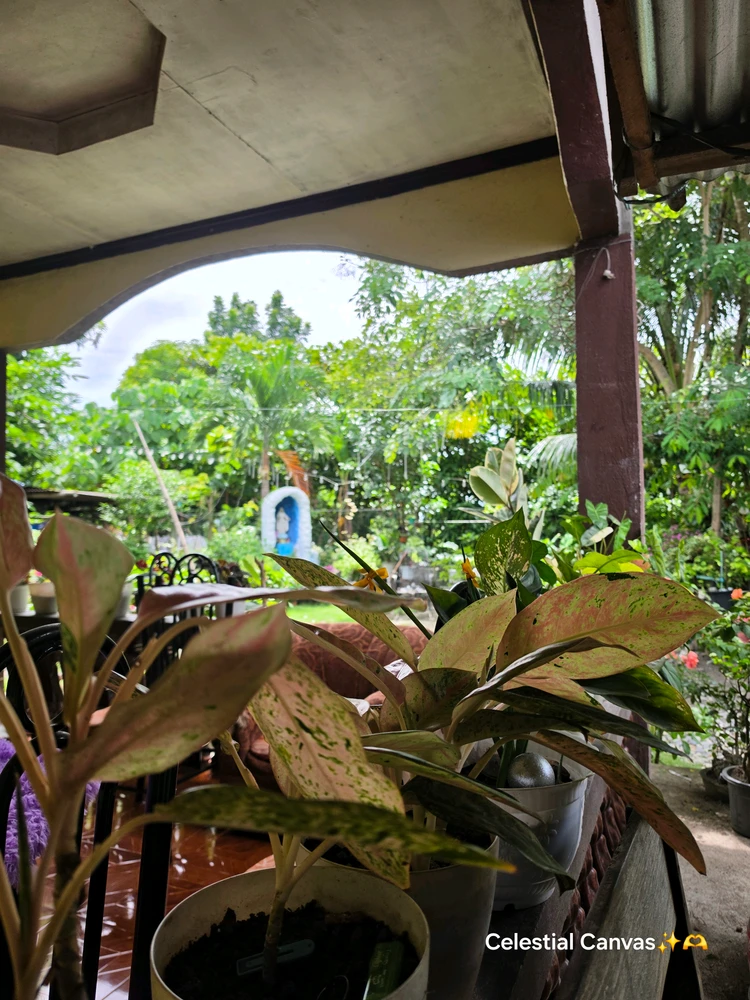 GIF yakaiswa naSM