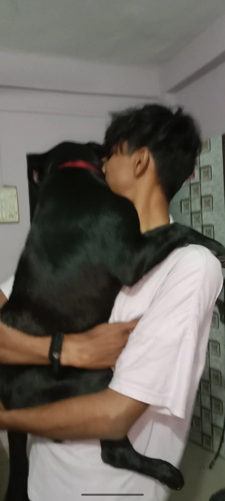 Rizz йөкләгән GIF