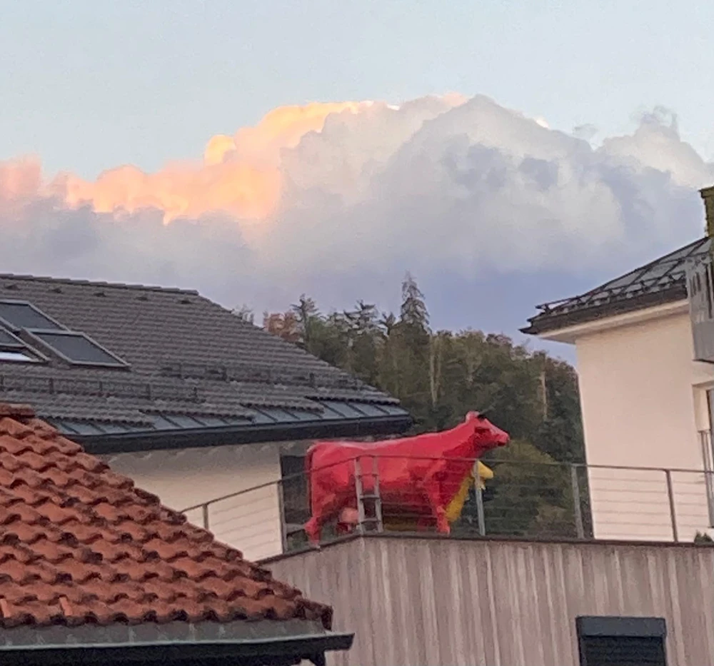 GIF nahrál ℳℴ𝓇𝓃𝒾𝓃ℊ𝓈𝓉𝒶𝓇