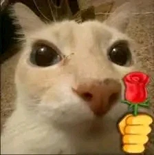 GIF geüpload door Gregorio