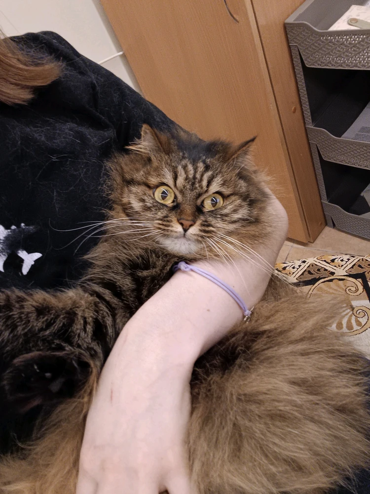 GIF nahrál Евгения