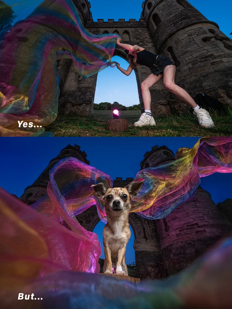 GIF tso los ntawm Cat