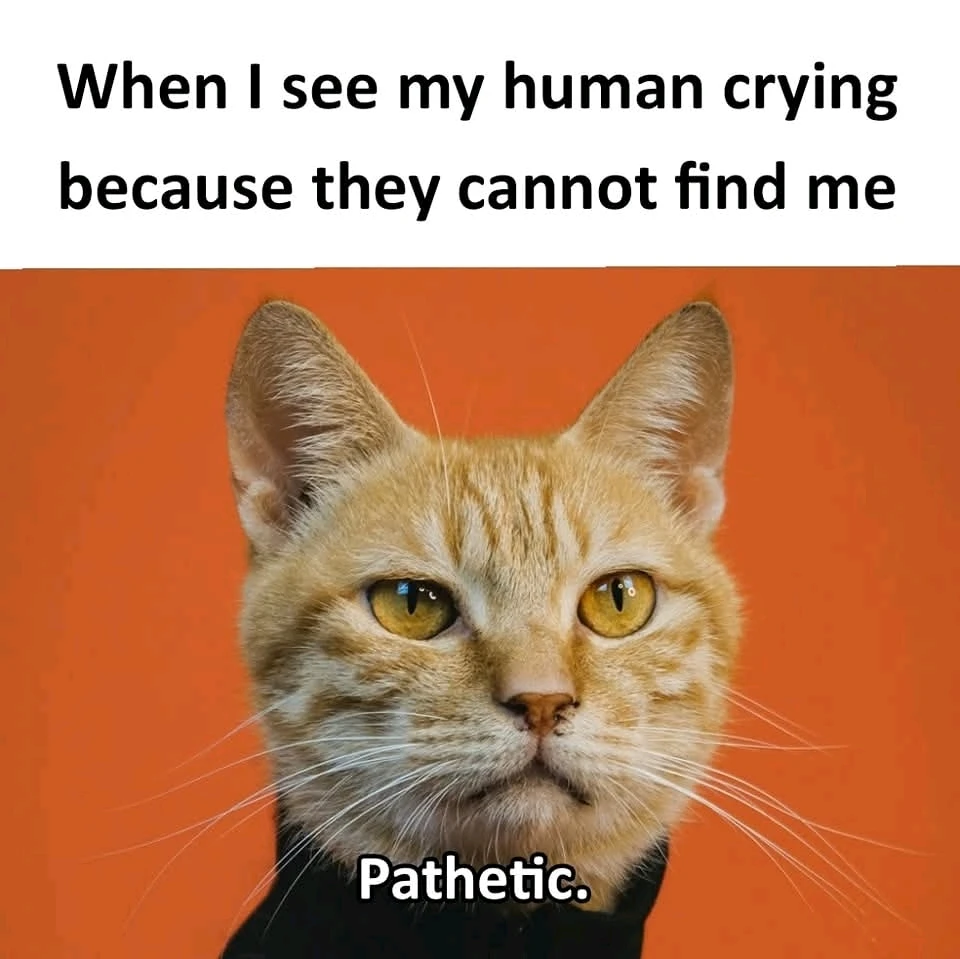 GIF geüpload door Pho Qing Mei Taji 🤣