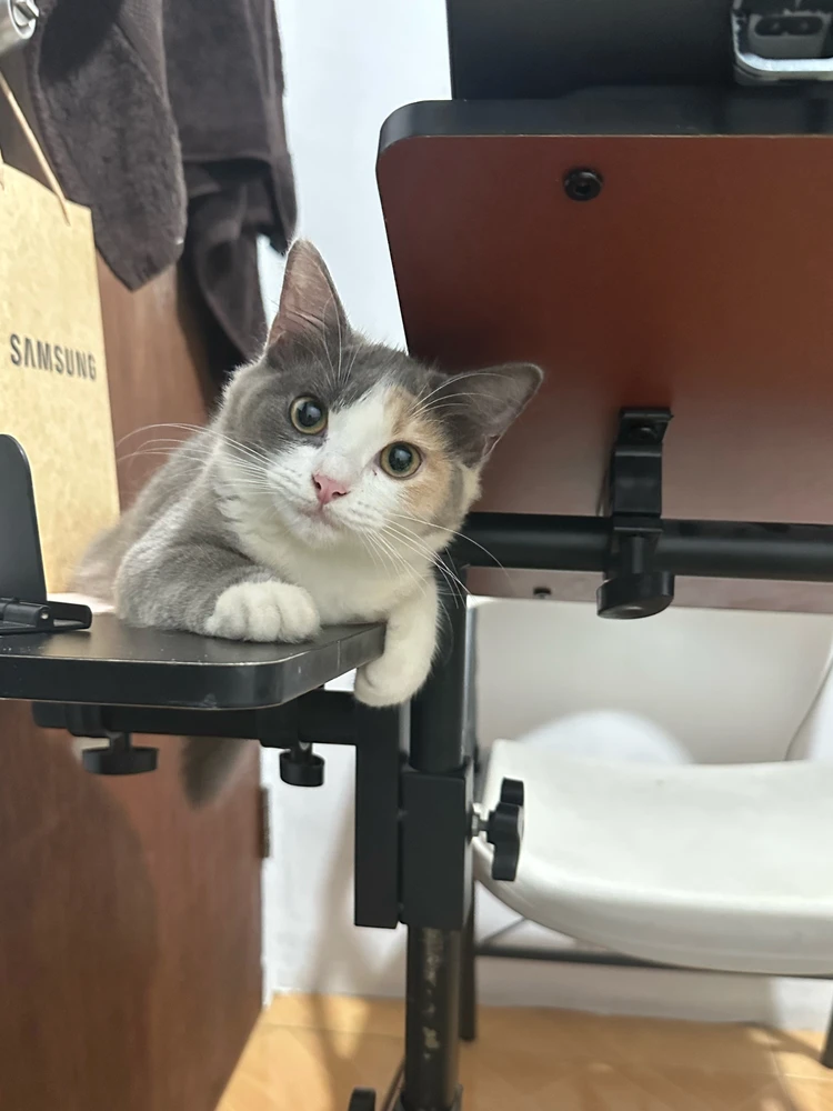 GIF gi-upload ni Hazel