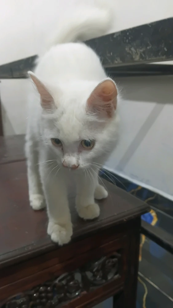 GIF uploaded by Bea