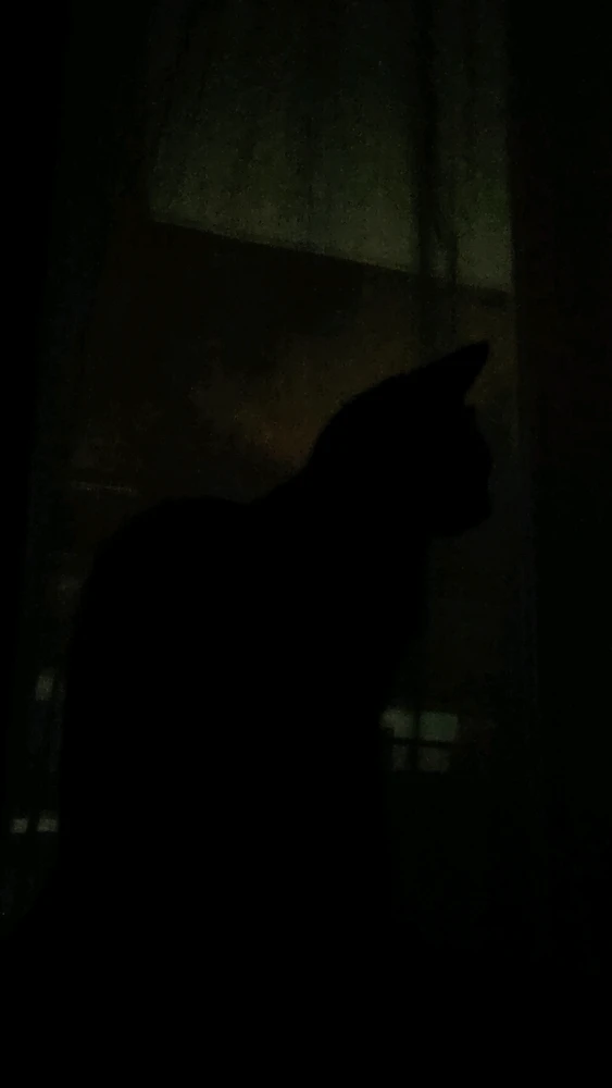 GIF na in-upload ni Miłosz