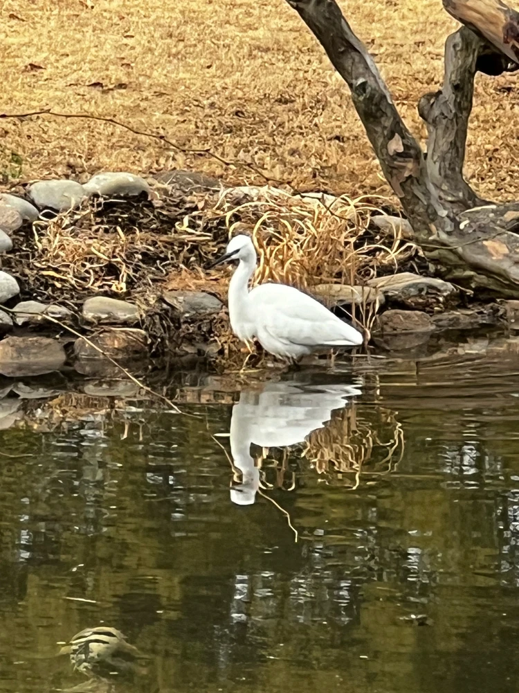 Emmanuel ಅಪ್‌ಲೋಡ್ ಮಾಡಿದ ಚಿತ್ರ