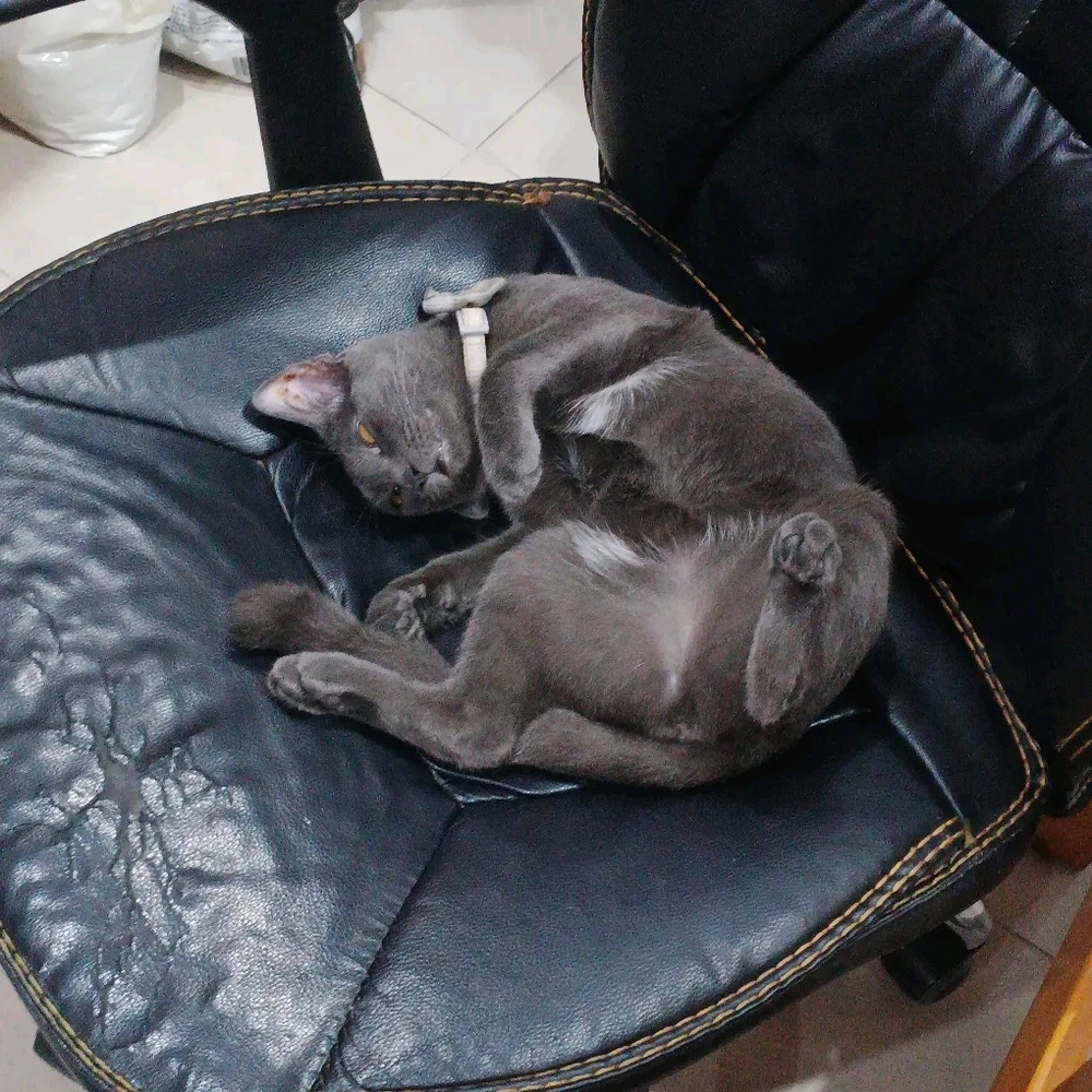 Ofbylding uploade troch Người Tồi Lương Thiện