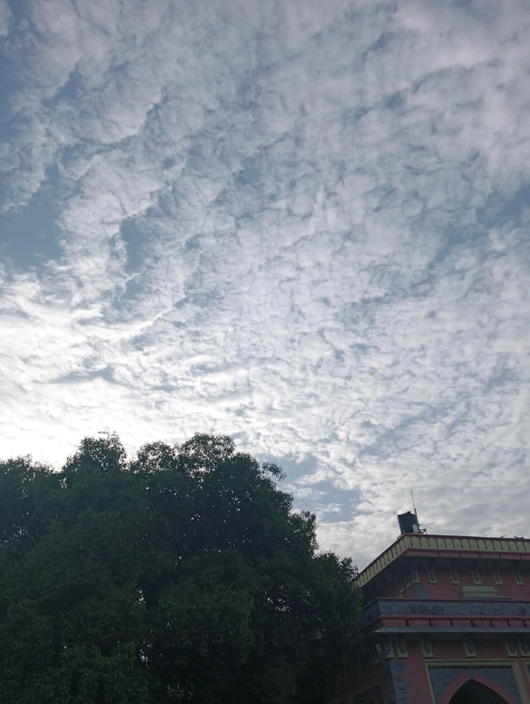 Astha上传的GIF