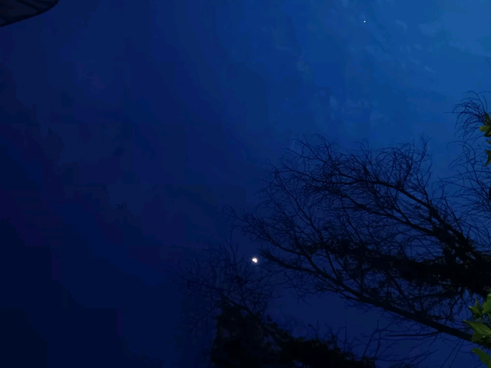 GIF da Jeje ya loda