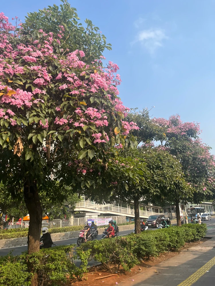 Image uploaded by Irma