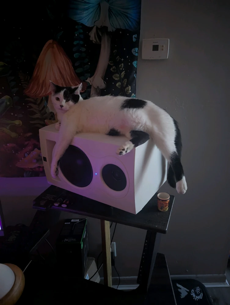 GIF ανέβηκε από Dawson