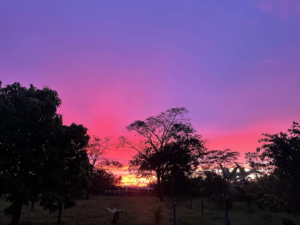 GIF diunggah ku Gabriel